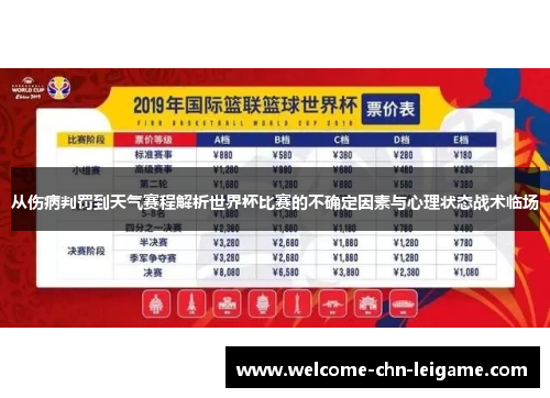 从伤病判罚到天气赛程解析世界杯比赛的不确定因素与心理状态战术临场